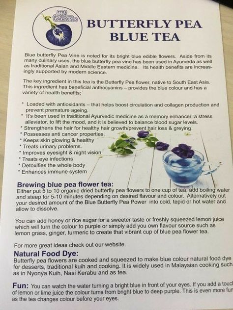 Peranakan Culture, Butterfly Pea Powder, Baba Nyonya, Tea Blends Recipes, Butterfly Pea Tea, Butterfly Pea Flower Tea, Butterfly Tea, Tea Health Benefits, Blue Tea