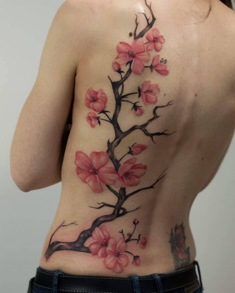 Japanese Flower Blossom Tattoo, Orchid Tree Tattoo, Cherry Blossom Stomach Tattoo, Japenses Cherry Blossom Tattoos, Cherry Blossom Tattoo On Leg, Japanese Cherry Blossom Tattoo Back, Cherry Blossom Tattoo On Back, Cherry Blossom Back Tattoo, Japanese Tattoo Cherry Blossom