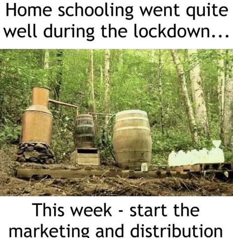 Virginia Memes, Southern Humor, West Va, My Interests, Science Lesson, Home Schooling, Life Group, Science Lessons, Popular Memes