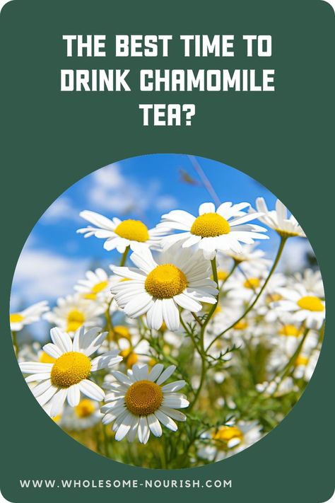 Chamomile tea is a popular herbal drink enjoyed by many for its soothing and calming effects. But have you ever wondered when is the best time to drink chamomile tea to fully reap its benefits? We will explore the various advantages of drinking chamomile tea and discuss the optimal times to consume it for specific purposes. So kick back, relax, and let’s discover the best time to enjoy a cup of chamomile tea! Chamomile Tea Benefits, Herbal Drink, Herbal Drinks, Tea Benefits, Chamomile Tea, Herbal Tea, Healthy Drinks, Things To Know, Coffee Tea