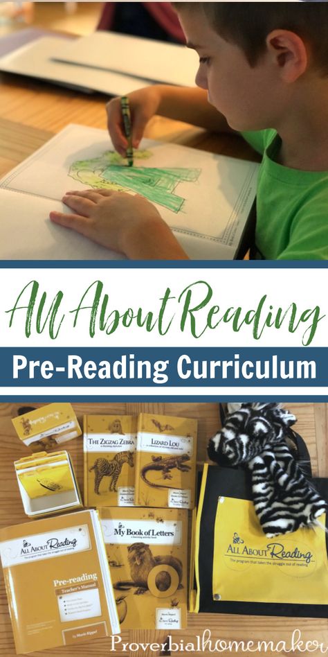 Curious about the All About Reading Pre-Reading curriculum? Find out how this mama of many used it with two kids at the same time. All About Reading Pre Reading, All About Reading, Letter Sound Recognition, Dad Goals, Read Aloud Activities, Christian Homeschool, Mom Goals, Reading Curriculum, Homeschool Board