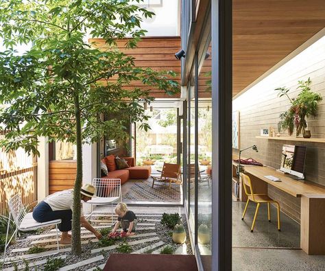 This Victorian terrace with an internal courtyard was renovated to let the light in Interior Courtyard, Indoor Courtyard, Victorian Terrace House, Small Terrace, Courtyard Design, Albert Park, Small Courtyards, Internal Courtyard, Garden Architecture