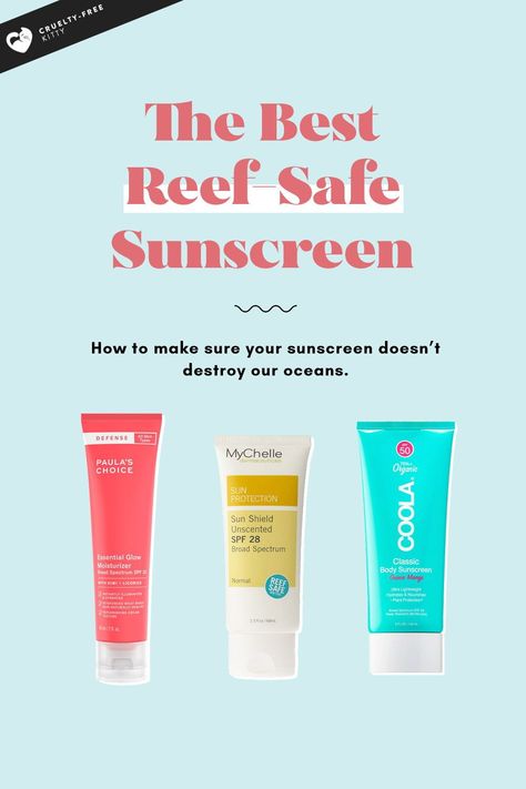 These are the best reef safe sunscreens on the market. Without a doubt, picking out a sunscreen that’s entirely safe for the environment can be tricky. Although certain sunscreens might be entirely free of the chemicals that are most threatening to the coral reefs, you still need to read the label. Reef Safe Sunscreen, Korean Sunscreen, Nontoxic Skincare, Coral Bleaching, Safe Sunscreen, Skincare Inspiration, Safe Skincare, Best Sunscreens, Conscious Living