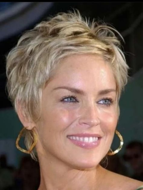 Sharon Stone Short Hair, Short Thick Wavy Hair, Sharon Stone Hairstyles, Edgy Short Haircuts, Short Shaggy Haircuts, Short Shag Hairstyles, Really Short Hair, Cool Short Hairstyles, Short Hair Pixie Cuts