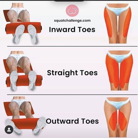 Parts Of The Glutes, Glute Muscle Chart, Glute Diagram, Glute Muscles Anatomy Exercise, Workout Gym Routine, Gym Workout Plan For Women, Leg Workouts, Leg And Glute Workout, Trening Fitness