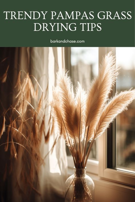 Discover how to dry pampas grass and transform your living space into a stylish sanctuary! This comprehensive guide shares easy techniques that will help you achieve perfectly soft and fluffy pampas for home décor. Learn how to fluff the dried grasses properly, ensuring your arrangements are truly stunning. Whether you're decorating for a special occasion or just want to refresh your home aesthetics, dried pampas grass is a beautiful contribution. Get ready to showcase this trendy décor piece like a pro! Dry Pampas, Space Saving Hacks, Home Aesthetics, Pampas Grass Bouquet, Dried Pampas, Refresh Your Home, Elements Of Nature, Trendy Home Decor, Online Interior Design