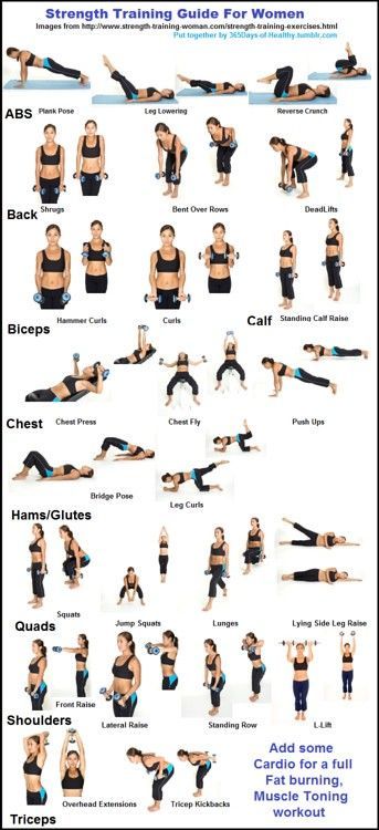 Strength Training for Women | Addrena LLC | Flickr - Shoulder workout women Weight Training For Beginners, Weights Workout For Women, Weight Training Plan, Weight Training Women, Strength Training Guide, Strength Training For Beginners, Fitness Routines, Weight Training Workouts, Training Motivation