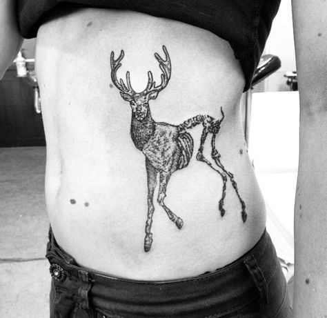 Dead Animal Tattoo, Animal Tatoos, Deer Skeleton, Black Work Tattoo, Zombie Drawings, Dead Animals, Work Tattoo, Deer Tattoo, Skeleton Tattoos