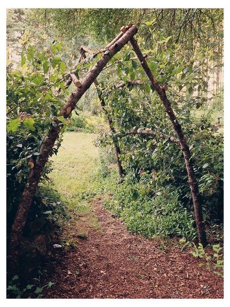 Squash Arch, Diy Garden Landscaping, Garden Archway, Garden Arbor, Have Inspiration, The Secret Garden, Budget Diy, Garden Trellis, Garden Structures