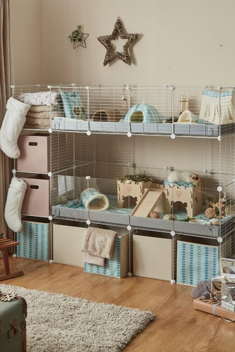 White C&C Cages for Guinea Pigs Outside Guinea Pig Enclosure, Small Animal Cage Ideas, Ginipigs Cage, C&c Rabbit Cage Ideas, Animal Room Ideas Pets Small Animals, Ginuea Pig Cage, Guine Pig Cage, C And C Cage, Small Guinea Pig Cage Ideas