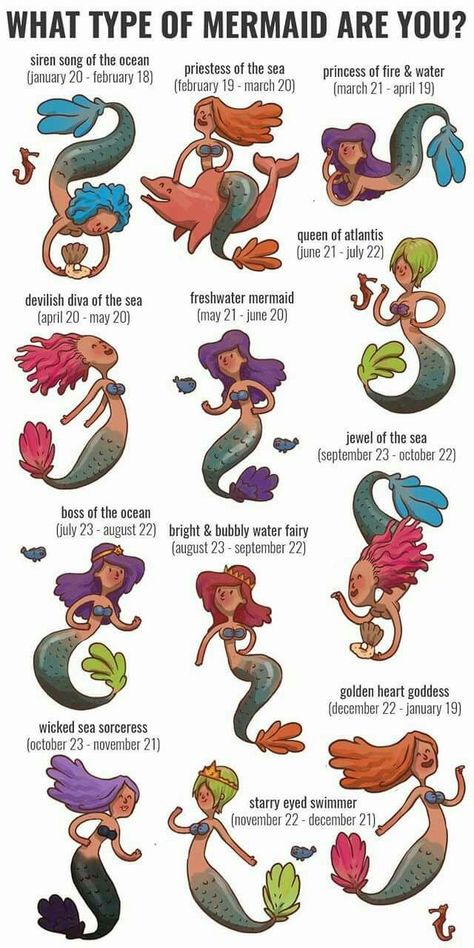 mermaid horiscope Small Zodiac Tattoos, Tattoos Silly, Freshwater Mermaid, Silly Matching Tattoos, Mermaid Signs, Types Of Mermaids, Draw A Mermaid, Drawing Mermaid, Feminine Shoulder Tattoos