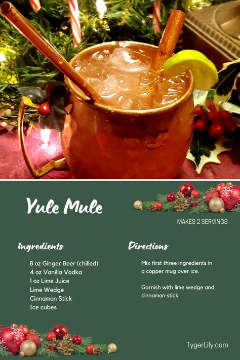 Yule Drinks, Yuletide Recipes, Yule Mule, Chill Mix, Easy Christmas Treats, Vanilla Vodka, Copper Mugs, Vodka Drinks, Wedding 2025