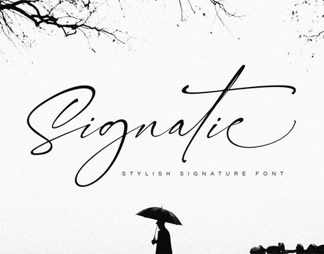 30+ Free Signature Fonts (Script Fonts to Download Now) Free Signature Fonts, Fonts To Download, Font Love, Fonts Script, Best Script Fonts, Modern Calligraphy Fonts, Modern Script Font, Free Script Fonts, Handwritten Script Font