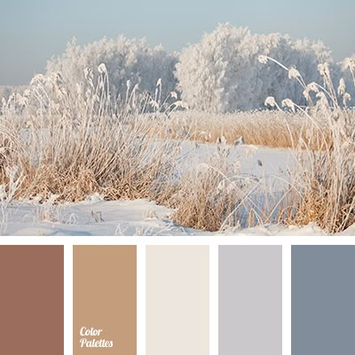 beige, brown, chocolate, color match for home, color palette, grey blue, light brown, shades grey-blue, shades of snow, winter color, winter palette. Kitchen Paint Schemes, Flat Bedroom, Paint Color Schemes, Grey Color Palette, Grey Color Scheme, Room Color Schemes, Color Balance, Living Room Bathroom, Bedroom Paint