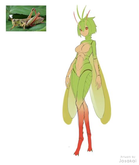 Bug People Character Design, Bug Person Character Design, Bug Superhero Design, Bug Characters Design, Anthro Bug Character Design, Bug Fairy Character Design, Fairy Art, Rwby, Creature Art