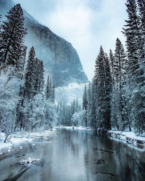 California Hikes, Sequoia National Park, Yosemite Valley, Amazing Travel Destinations, Explore Nature, Yosemite National, Yosemite National Park, Travel And Leisure, Land Scape