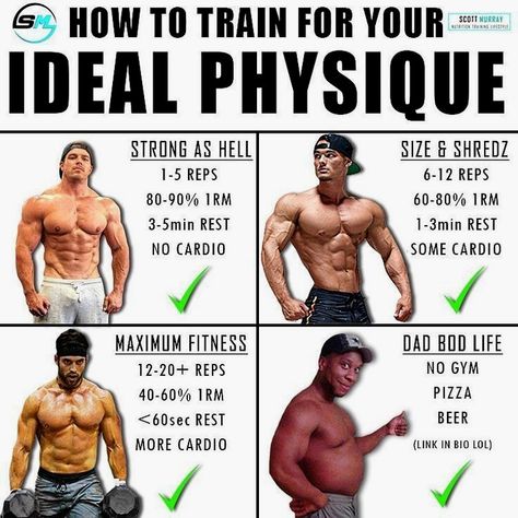 Lean Muscle Workout, Muscle Hypertrophy, Trening Sztuk Walki, Gym Antrenmanları, Trening Fitness, Weight Training Workouts, Workout Chart, Gym Workout Tips, Bodybuilding Workouts