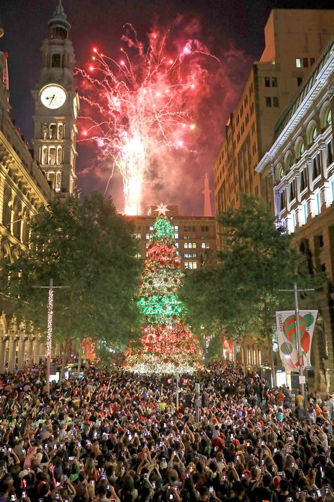 Christmas in the city of Sydney, Australia 2018 Christmas Australia, Christmas In Australia, Christmas In The City, Sydney City, World Cities, Island Girl, Sydney Australia, Festive Season, Festival Season