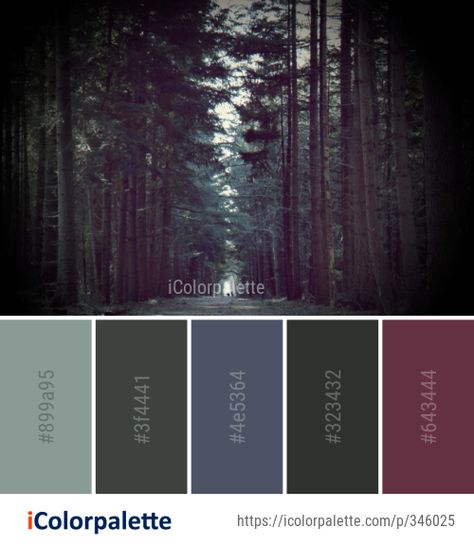 Color Palette Ideas from Woodland Forest Nature Image | iColorpalette Enchanted Forest Color Scheme, Dark Forest Palette, Misty Forest Color Palette, Moody Forest Color Palette, Enchanted Forest Palette, Dnd Color Palette, Enchanted Color Palette, Enchanted Forest Wedding Color Palette, Dark Forest Color Palette