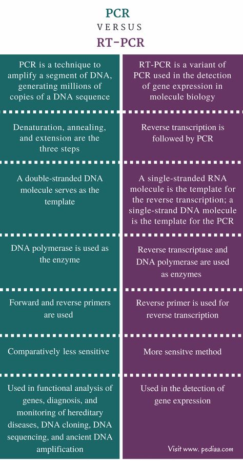 Difference Between PCR and RT PCR | Definition, Process, Application Facilitated Diffusion, Microbiology Study, Biochemistry Notes, Studying Girl, Medical Laboratory Technician, Molecular Genetics, Study Biology, Medical Laboratory Science, Biomedical Science