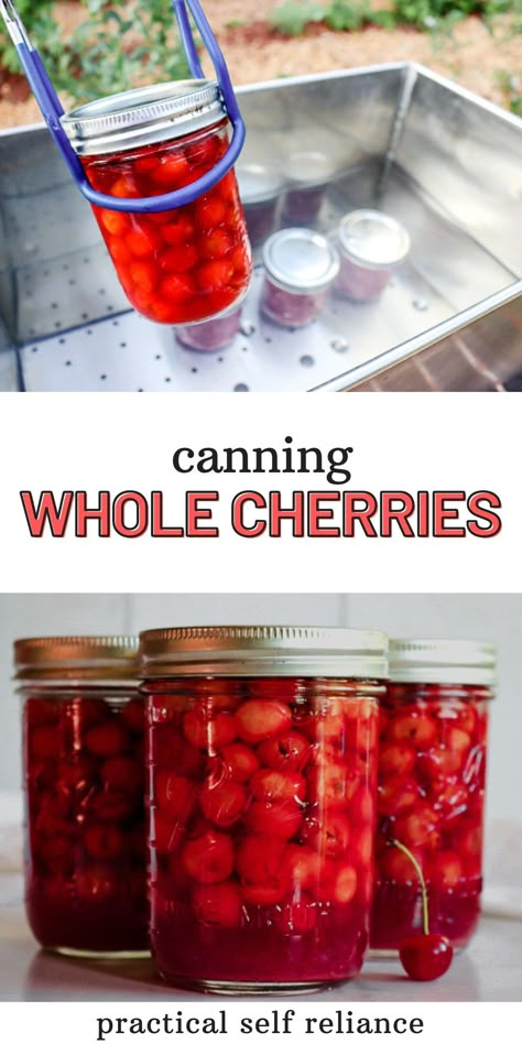 Cherry Jelly Recipe Canning, Fruit Canning Recipes, Canning Cherries Recipes, Beginner Canning Recipes, Preserving Cherries, Best Canning Recipes, Canning Cherries, Canning Fruit Recipes, Canning For Beginners