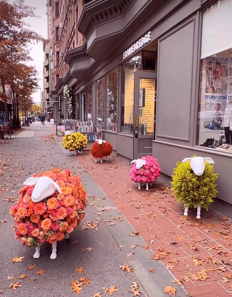 Life Size Sheep Diy, Sheep Flower Planters, Backyard Sheep, Metal Sheep Yard Art, Sheep Planter, Sheep Grazing, City Flowers, Hotel Food, Upper West Side