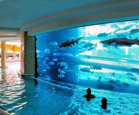 San Alfonso Del Mar Beach Resort. Aquarium: http://beachblissliving.com/san-alfonso-del-mar-artificial-beach-pool/ Dolphins Wallpaper, Ocean Dolphins, 3d Ceiling, Piscina Interior, Wallpaper Cartoon, Tank Pool, Golden Nugget, Dream Pools, Sky Design