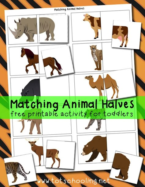 Great for distributing to students to find their pairs/partners !  Plus, it's free! - Matching Animal Halves Free Printable Farm Week, Zoo Preschool, Zoo Activities, Dear Zoo, File Folder Activities, Free Printable Activities, Animal Activities, Tot School, Matching Activity