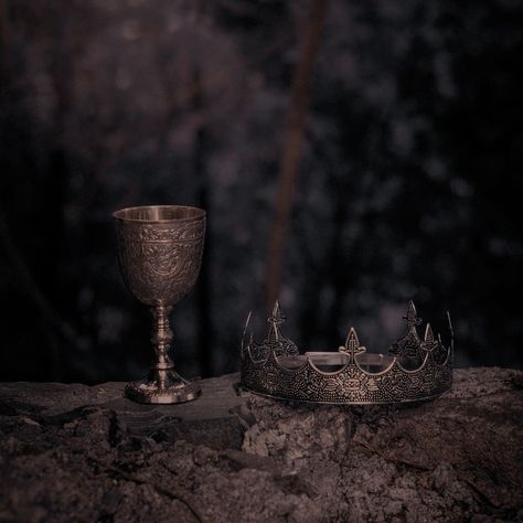 Viking King Aesthetic, Robert Baratheon Aesthetic, Baratheon Aesthetic, Game Of Thrones Story, Asoiaf Aesthetic, One Dark Window, Aesthetic Medieval, Scotland Aesthetic, Half Drow