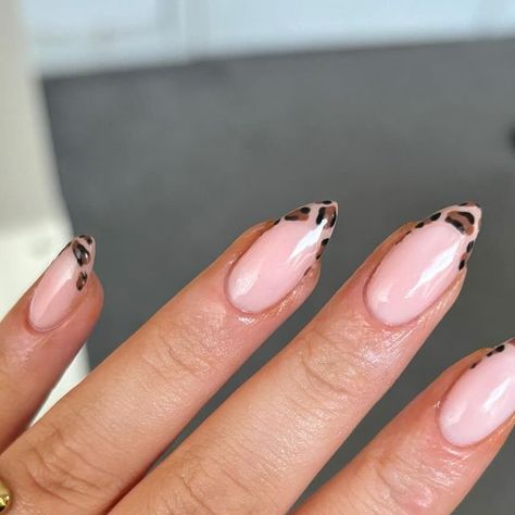 Gels By Olivia 🩷 on Instagram: "In LOVE with leopard nails 😍🐆  @the_gelbottle_inc nude, jet black, caramel and brunette  @glossifyofficial nude naturabuild  #nail #nailart #nailsnailsnails #naildesign #nailaddict #nailporn #nailsofinstagram #nailpolish #leopardnails #frenchnails #summernails #almondnails #manchesternails #gelnails #biab #biabnails #glossify #thegelbottle" Lepord Print Nails Design, Cheetah Print Nails, Cheetah Nails, Leopard Print Nails, Leopard Nails, Animal Print Nails, Trendy Nail Art, Fabulous Nails, Almond Nails