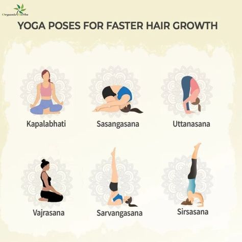 #yoga #health #yogaday #yogainspiration #yogaofinstagram #likeforlikes #comment4comment #followforfollowback #followers #yogateacher #likeforfollow #comment #likeforfollow #orignallikes #organic #organicleads #followers #organicfollowers Dry Hair Tips, Breathe And Let Go, Hair Growth Remedy, Yoga Facts, Healthy Shiny Hair, Hair Care Kits, Hair Tips And Tricks, Dry Hair Care, Natural Hair Mask