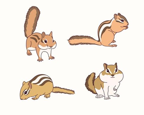 Cute squirrel illustration. Squirrel Cute Illustration, Cute Squirrel Art, Squirrel Animation, Chipmunk Illustration, Chipmunk Drawing, Squirrel Icon, Cartoon Chipmunk, Squirrel Character, Squirrel Drawing