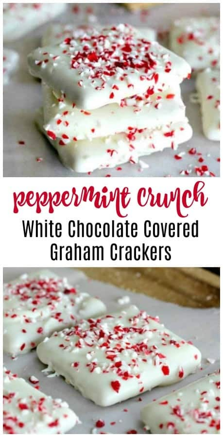 3 White Chocolate No-Bake Festive Candy Recipes - Here's 3 quick easy and quick no-bake, candy recipes that everyone would love to sink their teeth into, receive as a nice gift or display on a cute party tray for your holiday celebration. #whitechocolate #nobake #festivecandyrecipes #candyrecipes #christmas #chocolatecoveredgraham #vanillafudge #vanillabean #bark #butterscotch #vanillafudge #christmascookieseasy Chocolate Covered Graham Crackers, Candy Recipes Homemade, Christmas Candy Recipes, Christmas Food Desserts, Monkey Bread, Homemade Candies, Christmas Snacks, Christmas Cooking, Cookies Recipes Christmas