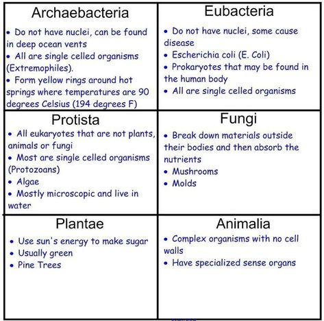 6 Kingdoms Of Life, Taxonomy Biology, Kingdom Classification, Apologia Biology, Life Science Middle School, Science Cells, Learn Biology, Life Science Activities, Study Biology