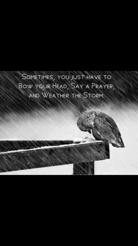 Sometimes, you just have to bow your head, say a prayer, and weather the storm. Horizontal Composition, Say A Prayer, Ayat Alkitab, Have Inspiration, In The Rain, The Rain, Words Of Wisdom, Bible Verses, Encouragement