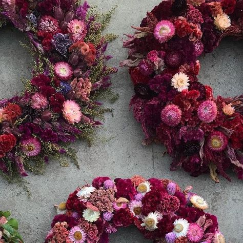 The Wreath Room on Instagram: "There’s a trend going on in my wreaths right now. I can just imagine all of these on one wall, with a Christmas tree nearby decorated with a dried globe amaranth garland, baby’s breath tinsel and strawflower ornaments. But of course!" Dried Flower Christmas Garland, Dried Strawflower Wreath, Strawflower Ornaments, Amaranth Garland, Globe Amaranth, Baby S Breath, Just Imagine, Amaranth, Christmas Garland