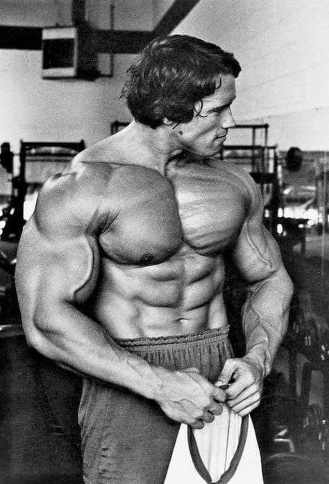 Arnold Schwarzenegger Aesthetic, Arnold Schwarzenegger Training, Arnold Schwarzenegger Body, Arnold Schwarzenegger Gym, Arnold Schwarzenegger Muscle, Arnold Bodybuilding, Arnold Schwarzenegger Bodybuilding, Schwarzenegger Bodybuilding, Bodybuilding Pictures