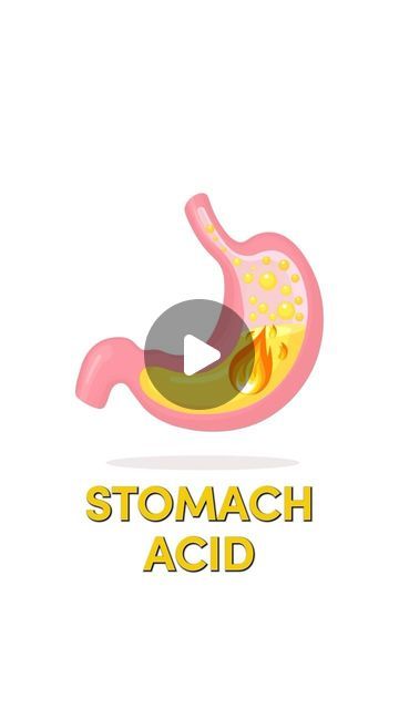 Dr. Janine Bowring, ND on Instagram: "3 Tips How to Improve Stomach Acid Dr. Janine shares three tips on how to improve stomach acid. She suggests eating pickles and other fermented foods to help improve your gut microbiome. She talks about how drinking one tablespoon of apple cider vinegar in water right before or after a meal helps with that stomach acid. Lastly, Dr. Janine recommends chewing your food well and eating in a relaxed setting, ideally outdoors to help improve stomach acid. Follow for more natural health tips. #stomachacid #digestion #guthealth #holistic #holistichealth #drjanine" Gi Cocktails For Stomach, Stomach Acid, Stomach Ache, Gut Microbiome, Natural Health Tips, Fermented Foods, Cider Vinegar, Apple Cider Vinegar, Gut Health