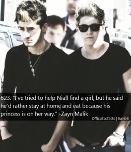 Ziall Horlik, 1d Quotes, Gambar One Direction, Find A Boyfriend, One Direction Facts, One Direction And 5sos, One Direction Zayn, Direction Quotes, One Direction 5sos