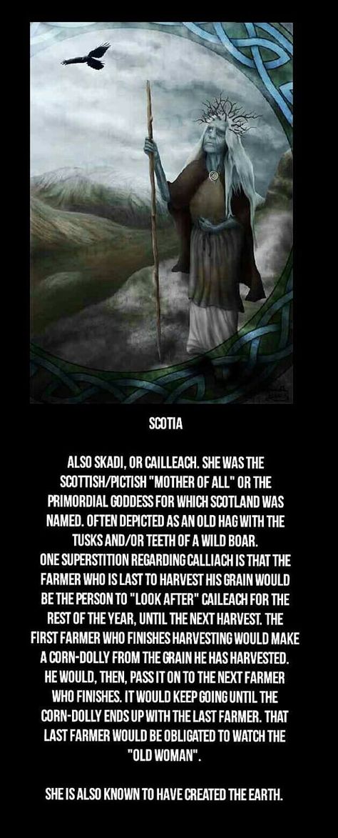 Scottish Folklore Celtic Mythology, Scottish Sayings, Celtic Folklore, Celtic Deities, Goddess Magick, Celtic Myth, Norse Gods, Irish Mythology, Celtic Gods