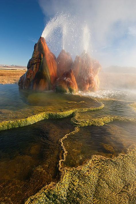 azyza rovya (@azyza_ovy) | Twitter Fly Geyser Nevada, Fly Geyser, Photos Of Nature, Nature Photographs, Pretty Places, Amazing Nature, Nature Pictures, Nature Photos, Natural Wonders