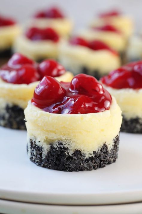 Cherry Topped Cheesecake, Oreo Bottom Cheesecake Cupcakes, Oreo Crust Mini Cheesecake Bites, Mari Chino Cherry Recipes, Mini Cherry Desserts, Mini Cheesecakes In Silicone Molds, Dessert In Muffin Tin, Mini Cheesecakes With Oreo Crust, Mini Cheesecakes In Muffin Tin