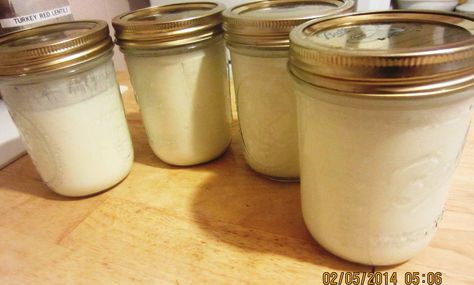 Homemade yogurt using whole organic milk, 1 level teaspoon of multidophilus, and a teaspoon of Fage 2% greek yogurt per 8 oz. mason jar. Skills Everyone Should Know, Survival Supplies, Pressure Canning, Survival Food, Food Supply, Survival Prepping, Canned Food, Preserving Food, Canning Recipes