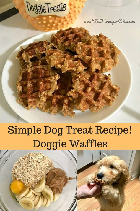 Doggie Waffles, Dog Waffles, Homemade Dog Cookies, Pet Treats Recipes, Dog Treat Recipe, Easy Dog Treat Recipes, Diy Dog Food, Dog Biscuit Recipes, Easy Dog Treats