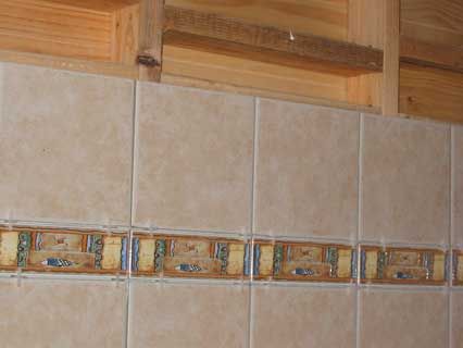 tile border Tile Border, Small Bathroom Tiles, My Bathroom, Accent Tile, The Room, The Bad, Tile Bathroom, Small Bathroom, Being Ugly