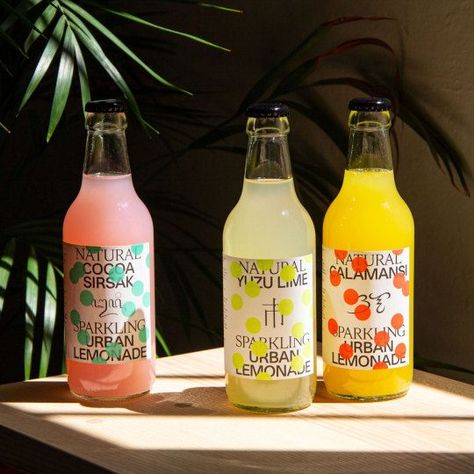 Sparkling Lemonade, Berry Punch, Honey Packaging, Juice Branding, Drinks Packaging Design, Juice Packaging, Bottle Design Packaging, Fizzy Drink, Wine Packaging