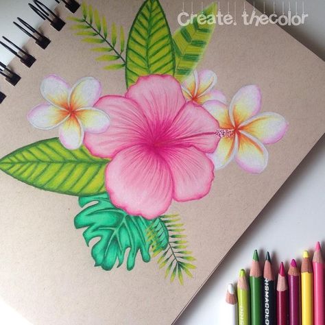 Drawing With Colored Pencils, Prismacolor Art, Arte Sketchbook, Doodle Art Designs, Color Pencil Art, Color Pencil Drawing, Flower Art Painting, Hand Art Drawing, Hand Art