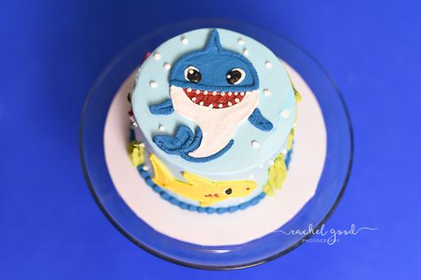 Baby Shark Donut, Baby Shark Smash Cake, Baby Shark Smash Cake Boy, Baby Shark Cake Template, Finding Dory Smash Cake, Finding Nemo Smash Cake First Birthdays, Adult Cake Smash, Garden Cupcakes, Baby Boy Birthday Cake