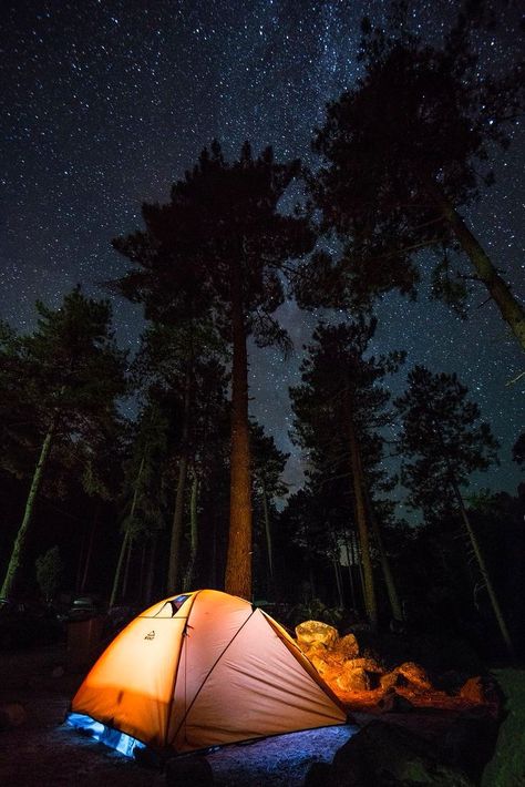 Camping Photos, Vision Board Pictures, Sleeping Under The Stars, Camping Lights, Backpacking Travel, Dark Skies, Sierra Nevada, Yosemite National, Camping Ideas