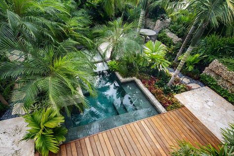 Tropical Garden With Pool, Tropical Garden Pool, Tropical Walkway, Tropical Pond, Tropical Exterior, Tropical Swimming Pool, Concept Landscape, Sophisticated Home Decor, Outdoor Jacuzzi